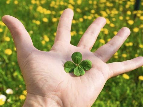 Clovers Of Luck brabet