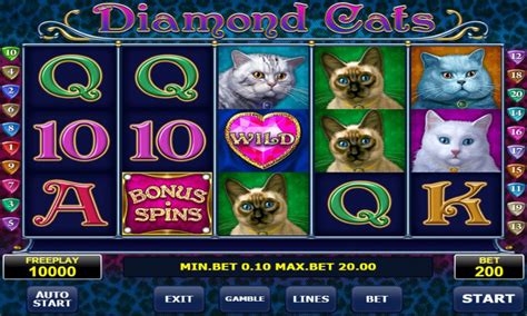 Diamond Cats Review 2024