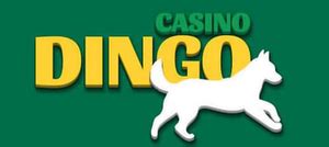 Dingo casino Belize