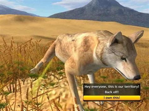 Jogue Wolf Quest online