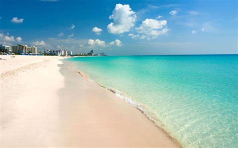 Miami Beach Bodog