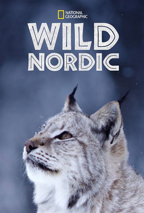 Nordic Wild Bodog